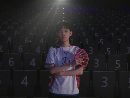 仅展示了布 仅展示了布