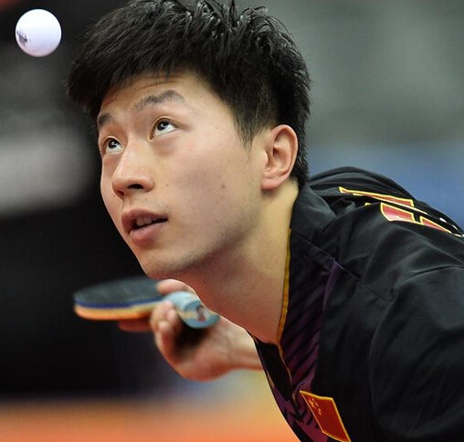 护和球员健 护和球员健