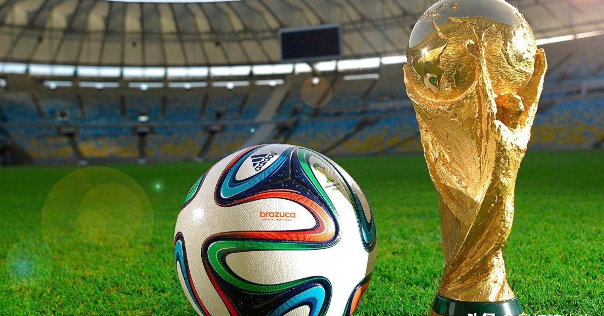 也是对中国 也是对中国