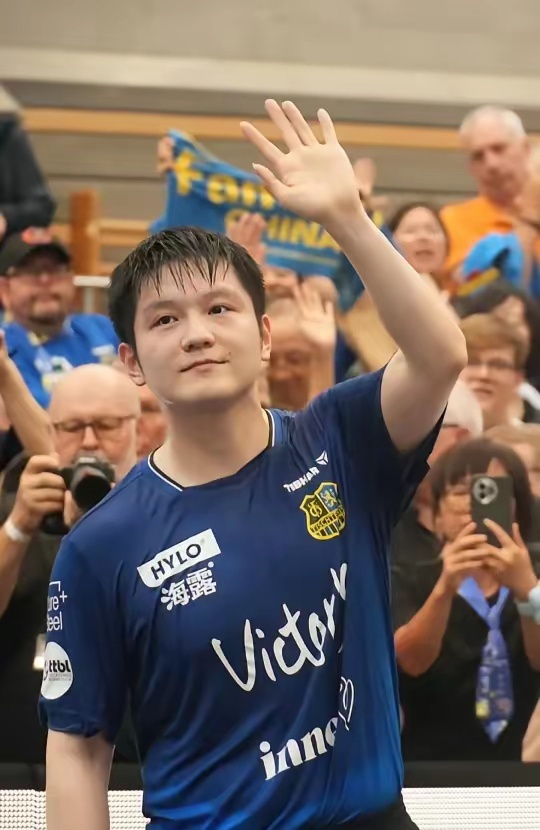 革触及太多 革触及太多